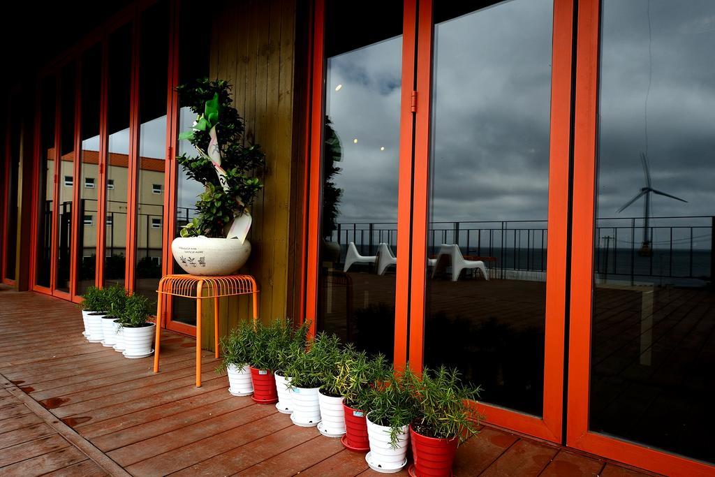 Maison Sondemul Guesthouse 济州市 外观 照片
